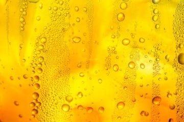 Bière et récupération : un mythe ?