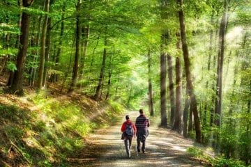 Jogging ou randonnée en forêt : attention aux tiques
