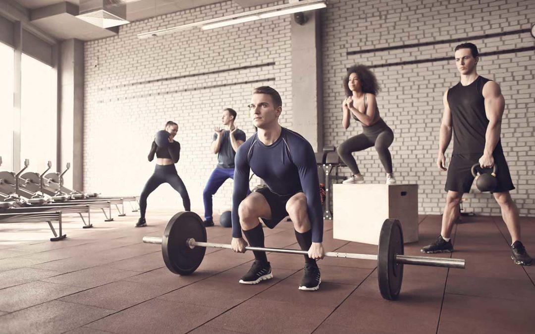 Les différentes fibres musculaires