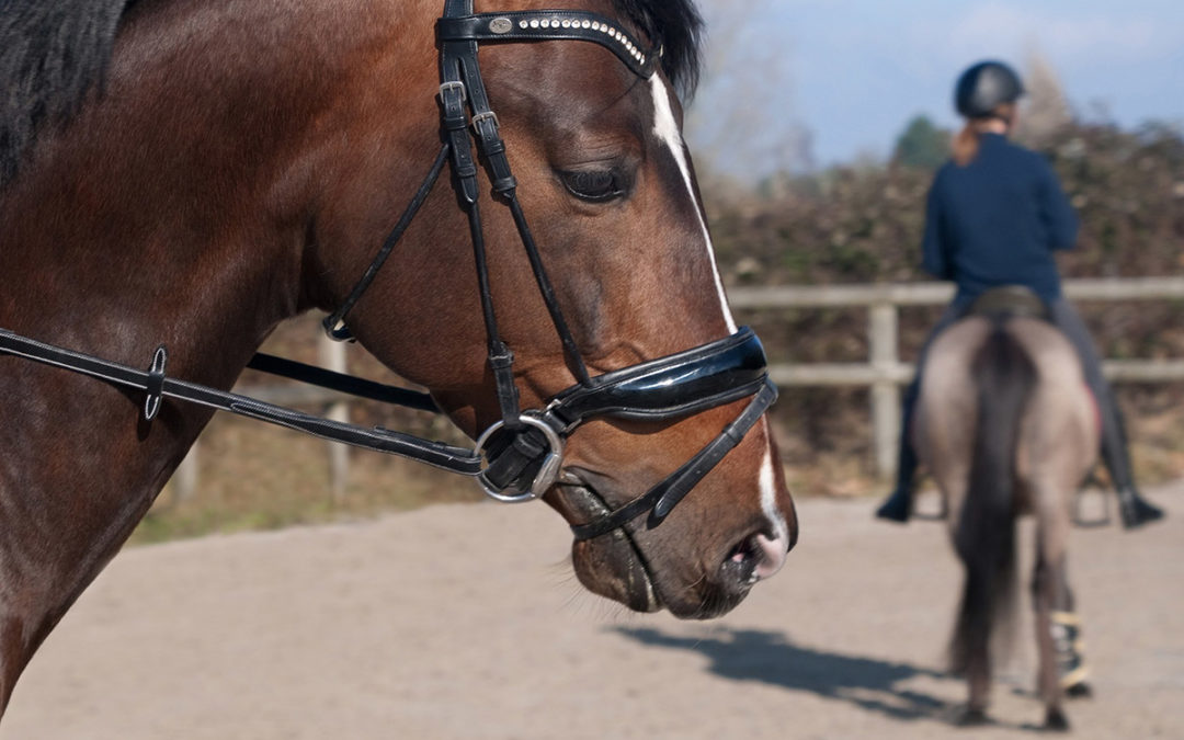 Les bienfaits et les blessures les plus courantes en équitation